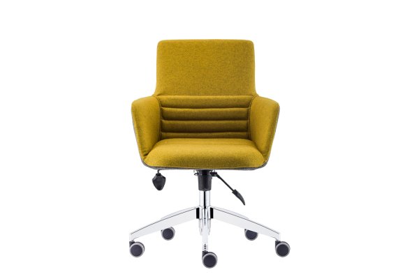 Roma Çalışma Koltuğu