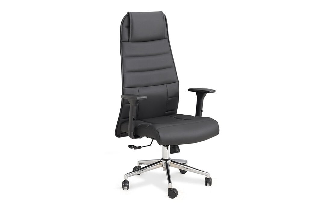 Nova Müdür Koltuğu