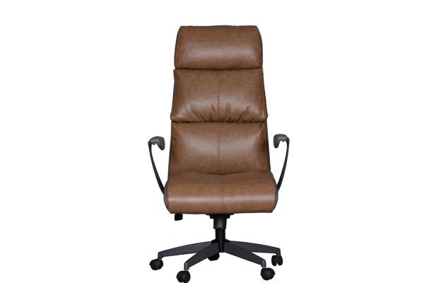 Dominus Yönetici Koltuk