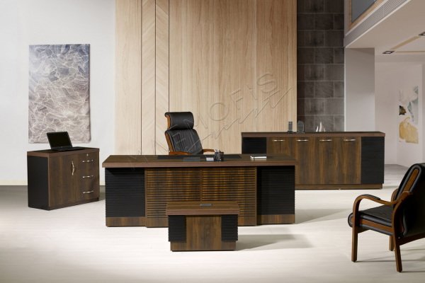 Adiva Yönetici Takımı