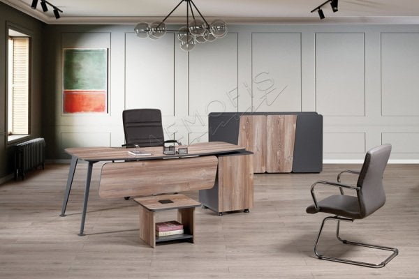 Venüs Ofis Takımı