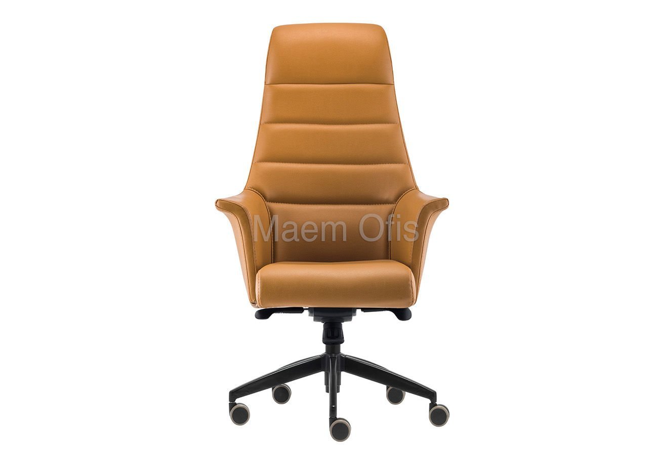 Avis Müdür Koltuğu