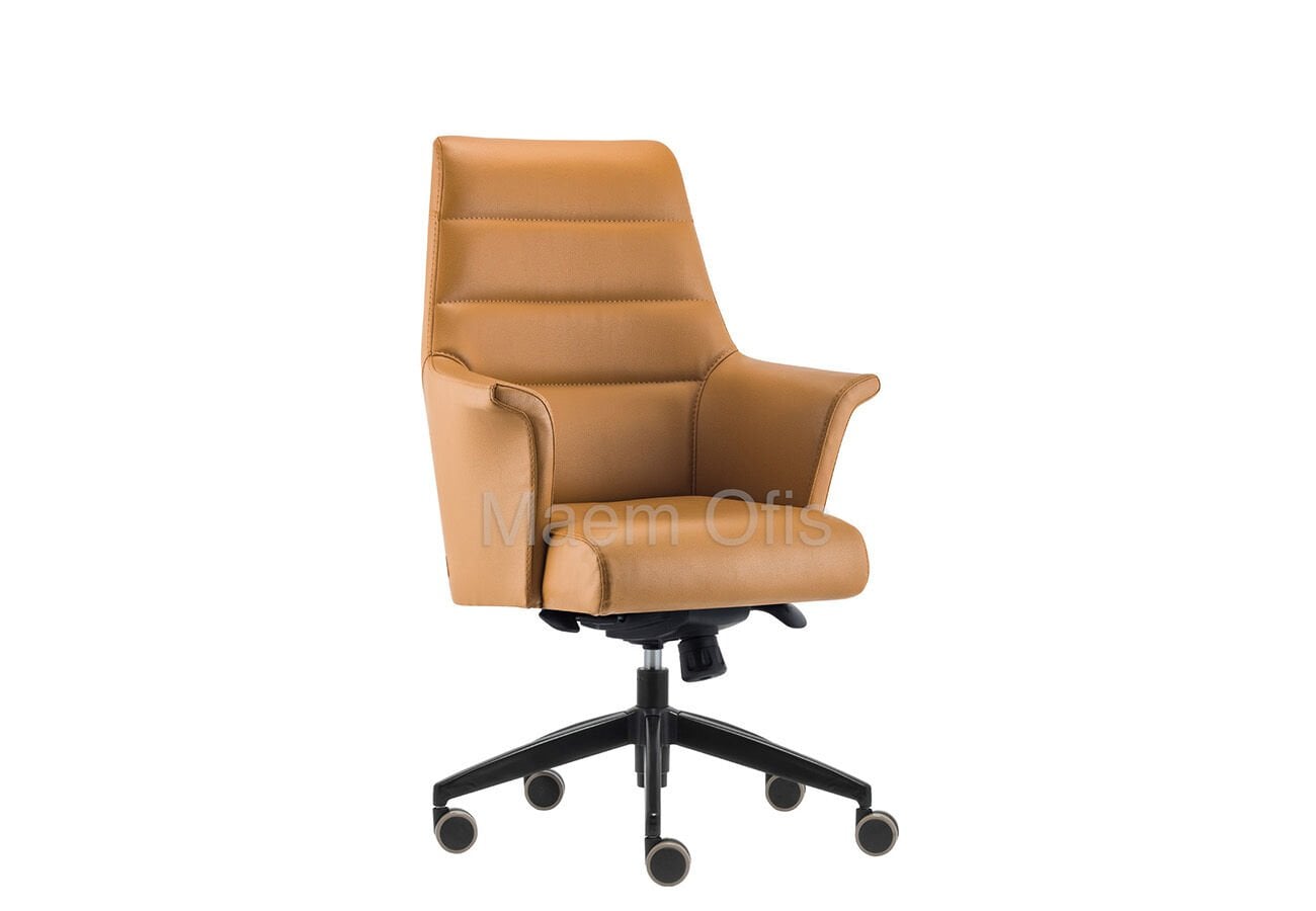 Avis Çalışma Koltuğu