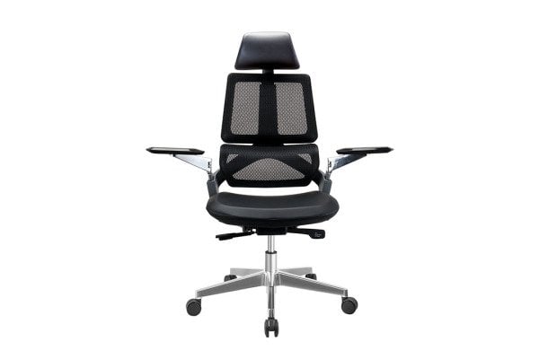 Lot Fileli Makam Koltuğu