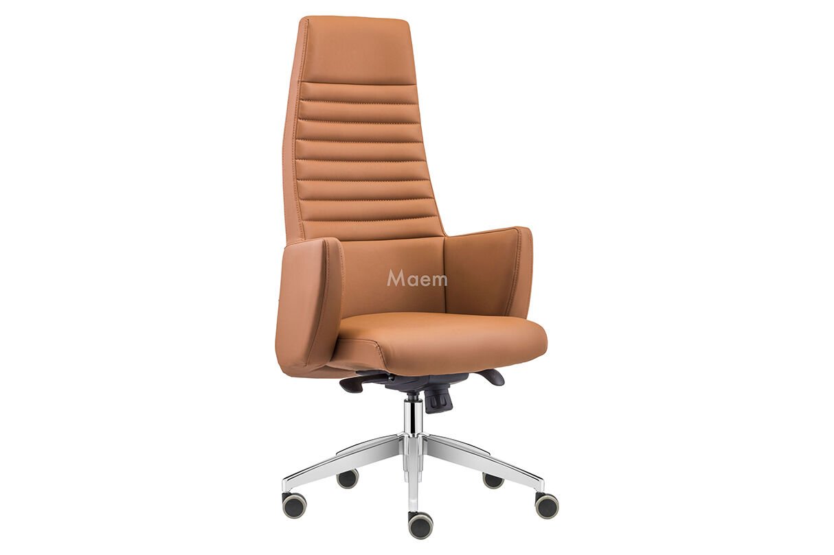 Setra Yönetici Koltuğu